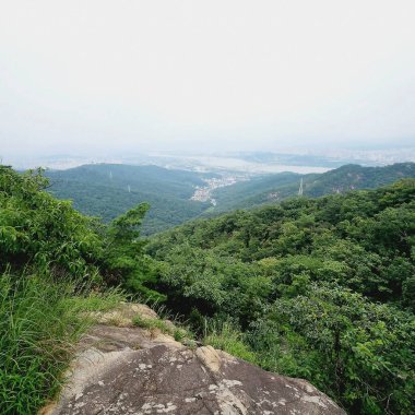 Güzel dağ manzarası. doğa arkaplanı
