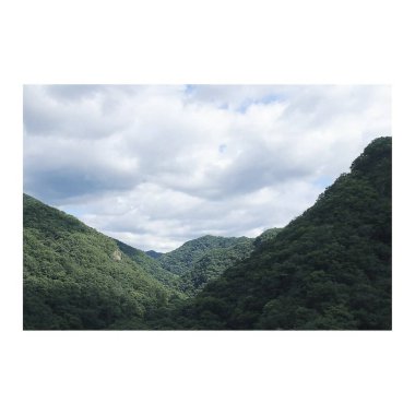 Dağlardaki yeşil orman