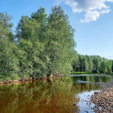 İlkbaharda nehrin manzarası