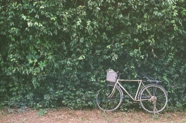 Yerde yeşil bisiklet