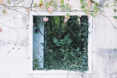 Pencerede güzel çiçekler