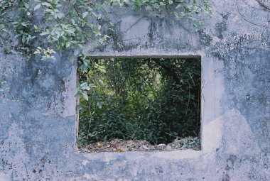 Şehirde terk edilmiş eski bir ev.