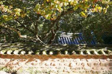 Parkın güzel manzarası