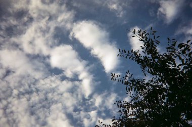 Gökyüzündeki bulutlar