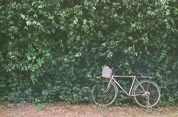 Yerde yeşil bisiklet
