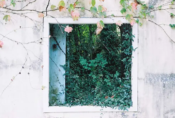 Pencerede güzel çiçekler