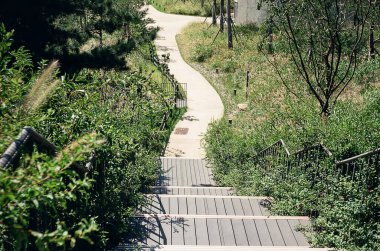 Parktaki tahta merdivenler.