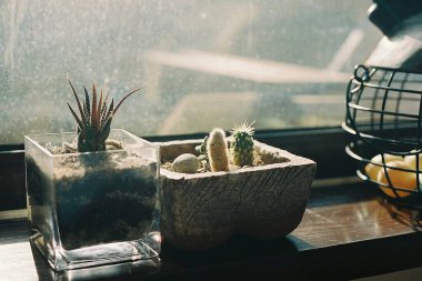 Bir bardak şarapla bardağı kapat.