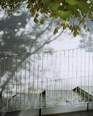 Yaşlı paslı demir çit bir sokakta