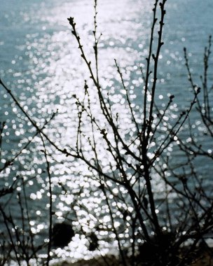 Doğanın güzel manzarası