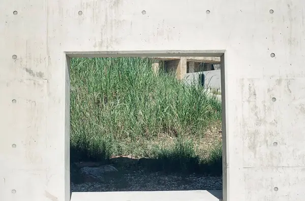 yeşil çimenli beton bina