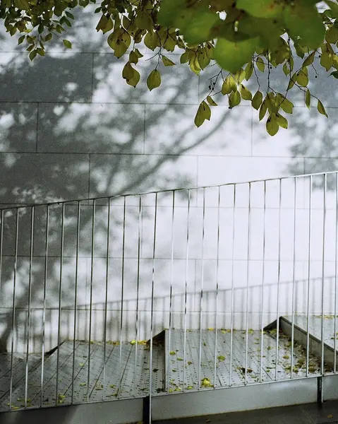 Yaşlı paslı demir çit bir sokakta