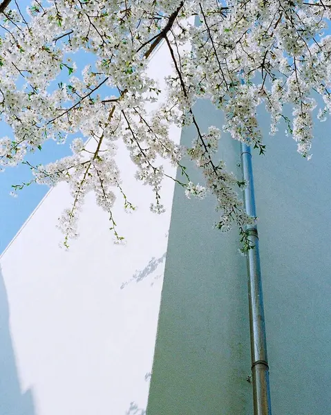 Parkın güzel manzarası