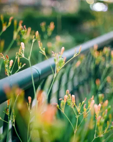 Doğanın güzel manzarası
