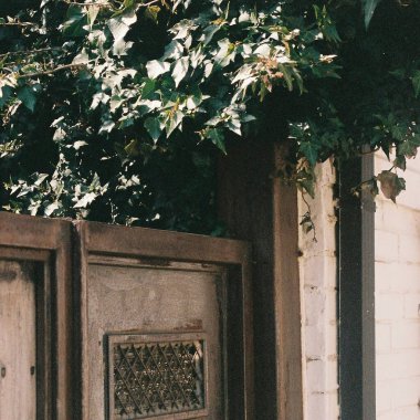 Bir sürü bitkisi olan paslı metal çitler.