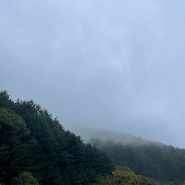 Ağacı ve dağı olan güzel bir manzara.