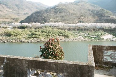 Dağlardaki nehrin güzel manzarası