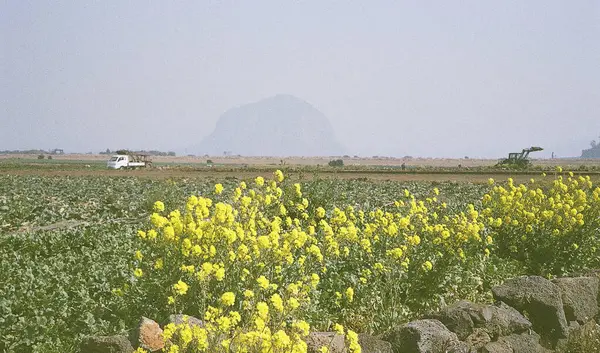 açık hava manzarasının resimsel görüntüsü