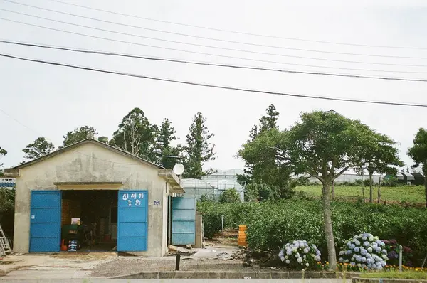 Şehirdeki eski bina.