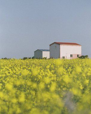 Doğanın güzel manzarası