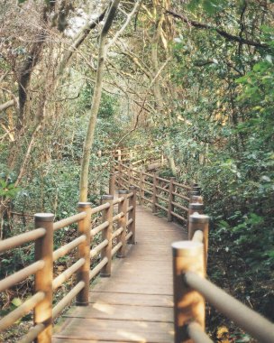 Parkta güzel bir tahta köprü manzarası.