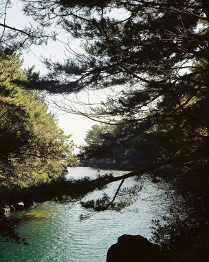 Güzel deniz manzarası. doğa arkaplanı