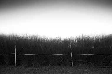 Kırsal manzarası çok güzel.