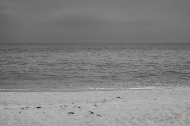 Güzel sahil ve deniz