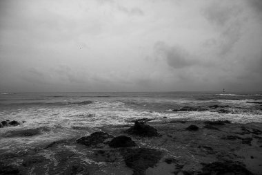 Deniz manzarası. Dalgalar ve sıçramalar. Karadeniz.