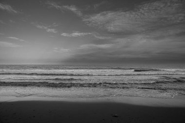 Baltık Denizi 'ndeki güzel sahil