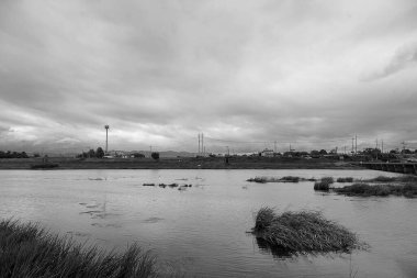 Ormandaki nehrin güzel manzarası
