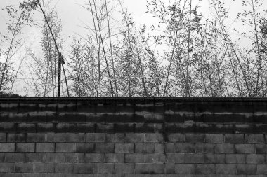 Şehrin eski duvarı.