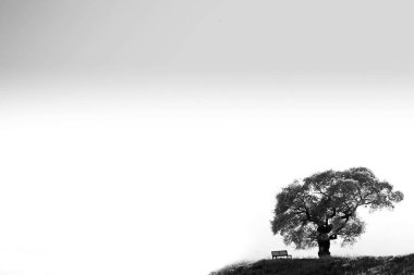 Doğanın güzel manzarası