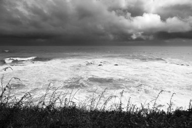 Güzel deniz manzarası. doğa arkaplanı