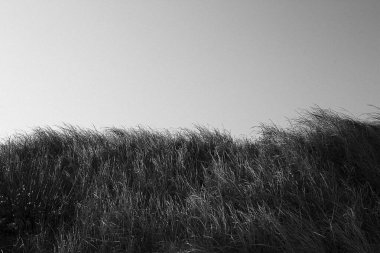 Siyah ve beyaz soyut desen