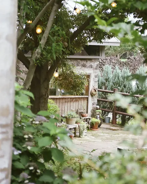 Şehir parkının güzel manzarası