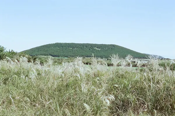 Kırsal manzarası çok güzel.