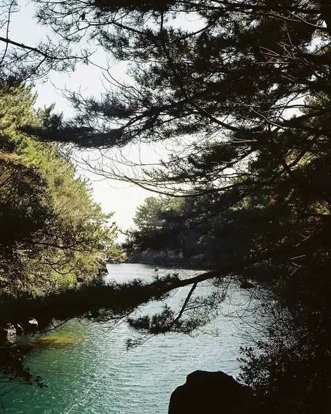 Güzel deniz manzarası. doğa arkaplanı