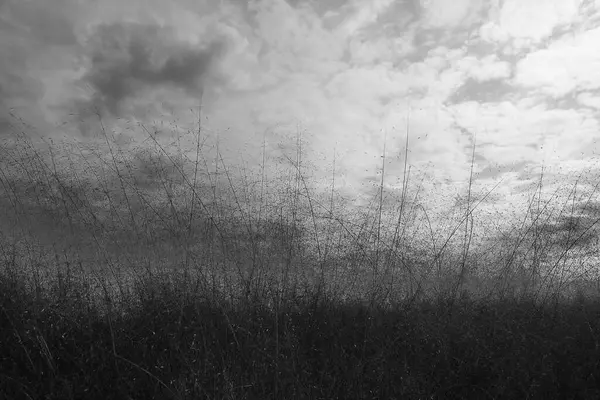 Ormanda güzel bir gün batımı