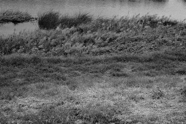 Gölün siyah beyaz fotoğrafı