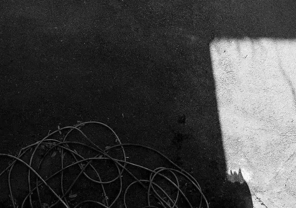 Soyut arkaplan. Monokrom dokusu. Siyah ve beyaz desenli arkaplan.