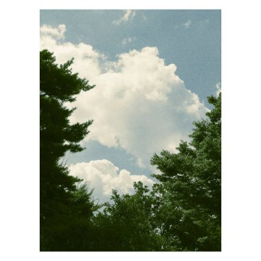 Ağaçlar ve bulutlarla dolu güzel bir manzara.