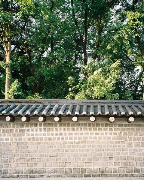 Şehirdeki binanın çatısında.