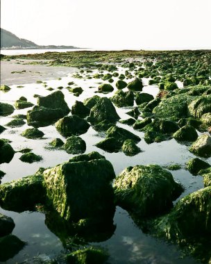 Güzel deniz manzarası