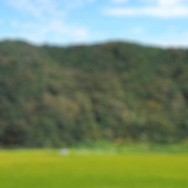 Bulanık yeşil alan arkaplanı