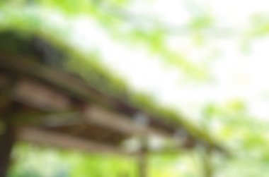 Yeşil yapraktan bulanık