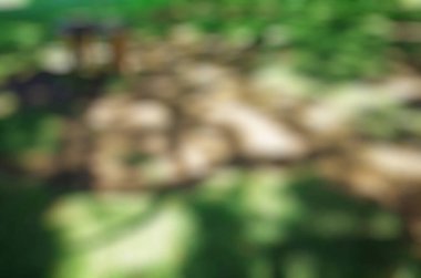 Ahşap zemin ile bahçenin bulanık görüntüsü