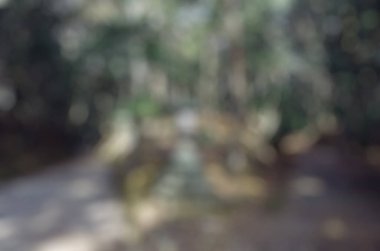 Renkli gradyanın soyut arkaplanı