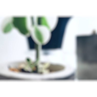 bitki ve kahve fincanı temalı soyut bulanık arkaplan ve bokeh efektli