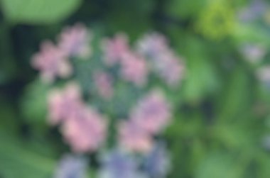 Çiçeklerle soyut arkaplan